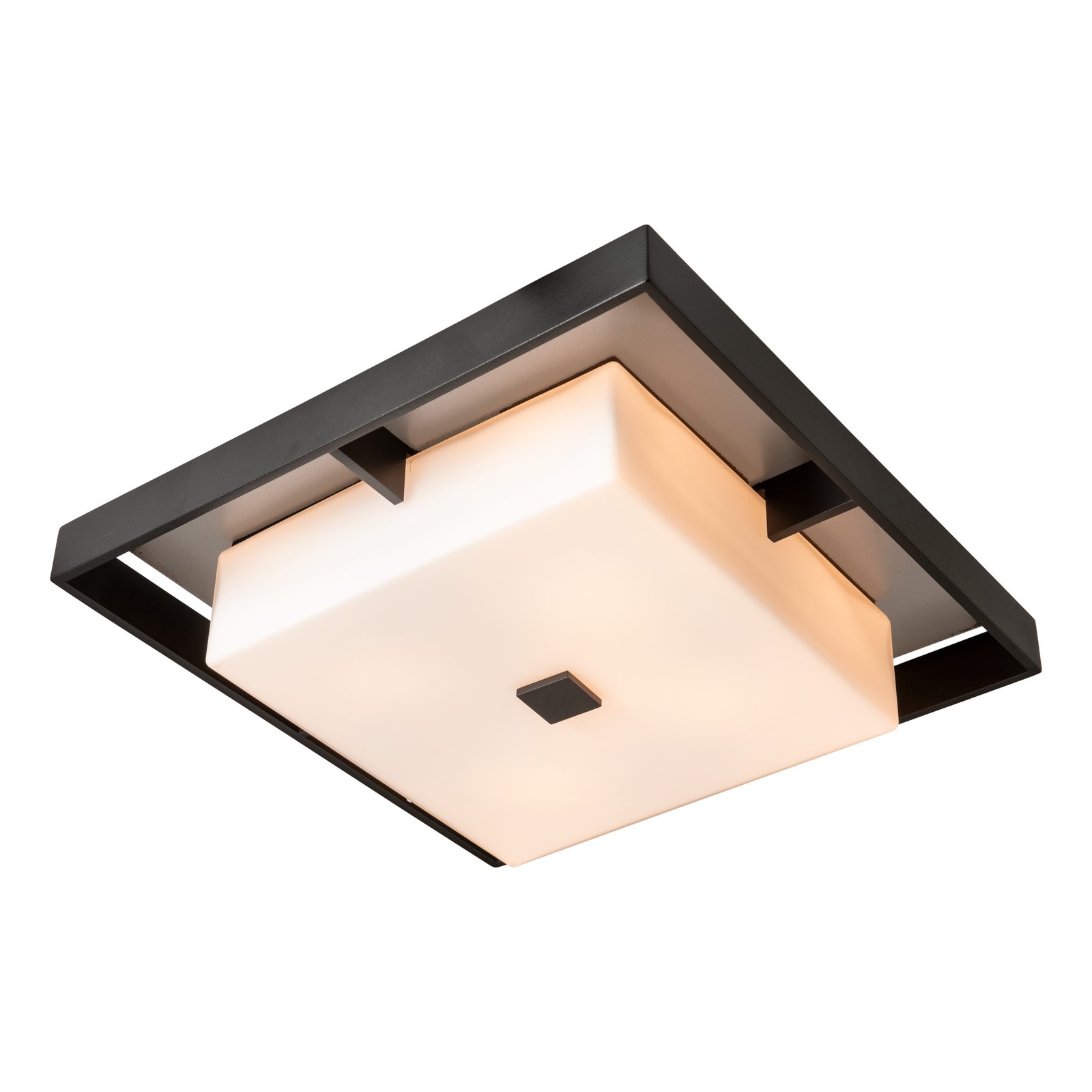 Shadow Box Large Outdoor Flush Mount
