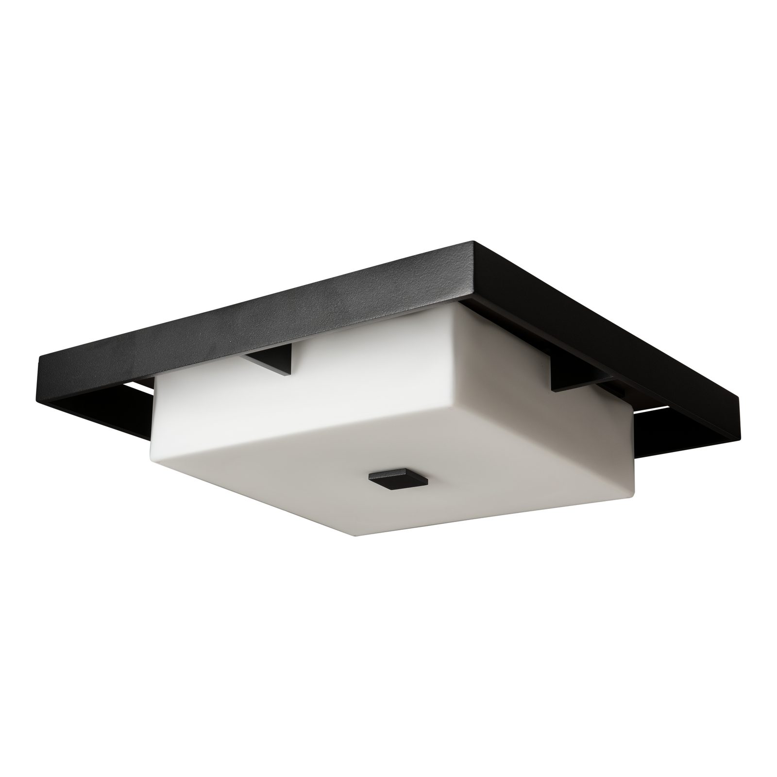 Shadow Box Large Outdoor Flush Mount