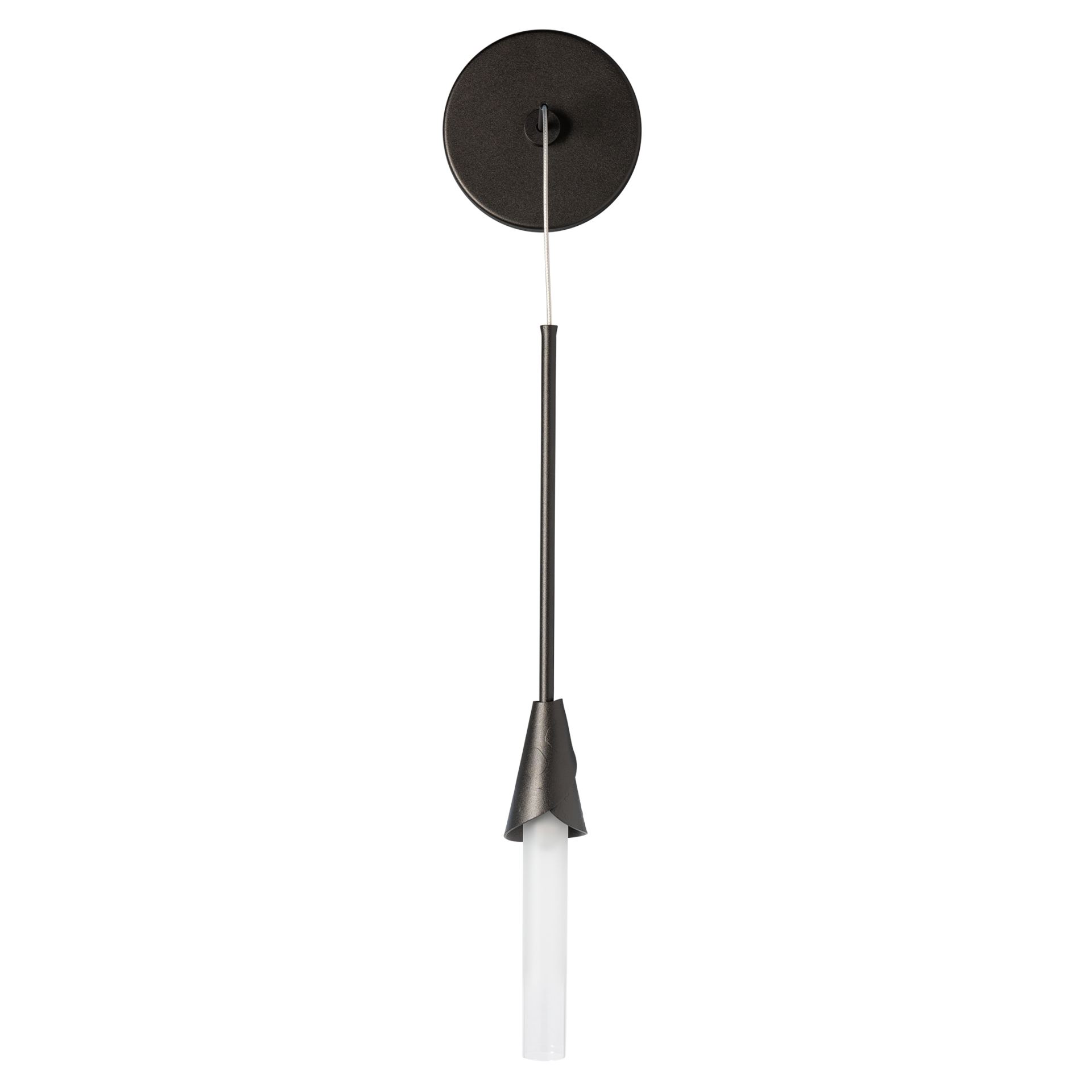 Lilium 1-Light Sconce